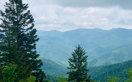 Breath Awareness Meditation