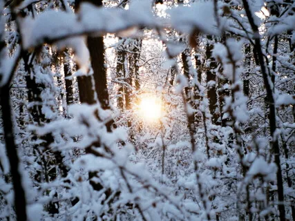 Breath Awareness Meditation