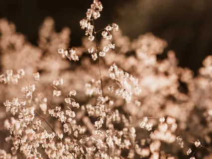 Breath Awareness Meditation For Calm And Clarity