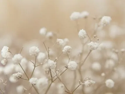 Breath Awareness Meditation To Focus And Relax