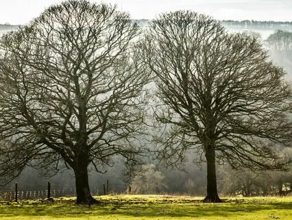 Breath Awareness Meditation