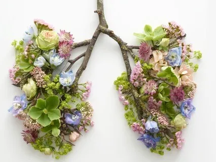 Breath Awareness - Notice