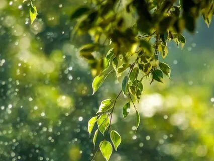 Breath Awareness Practice