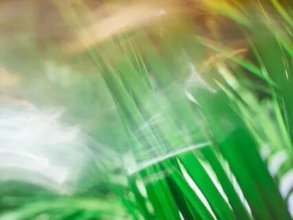 Breath Awareness Practice