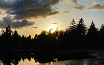 Breath Awareness To Sense True Nature