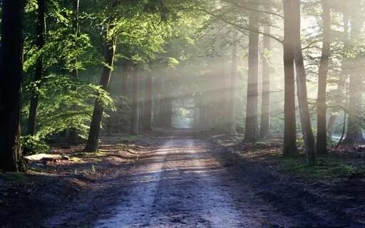 Breath Awareness With Acceptance