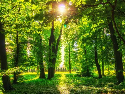 Breath Belly with Poem (Clearing by Martha Postlethwaite)