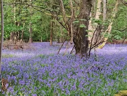 Breath & Body Awareness For Calm And Clarity