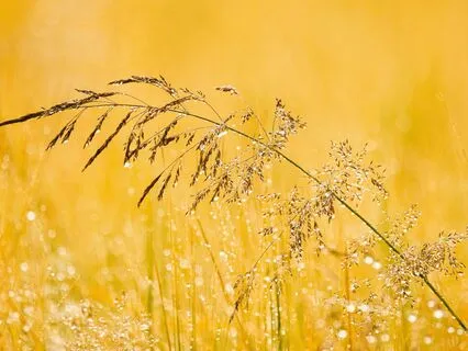 Challenge Day 2 Reset & Refresh: Breath By Breath