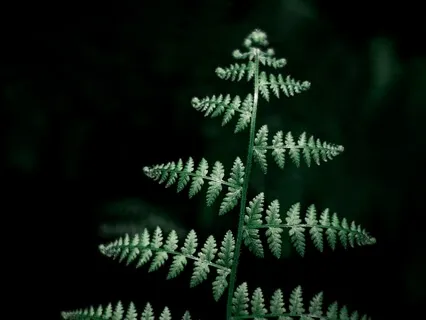 Breath: Dialogue With Earth