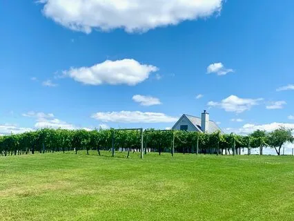 Breath Discovery - Centering And Calming Practice