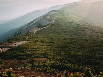 Breath Embodiment Practice