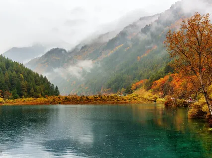 Breath Exercise 4:4:6:2