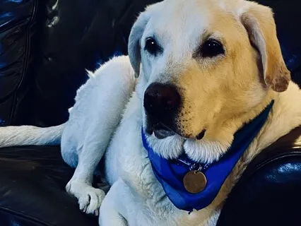 Breath, Focus, & Flow