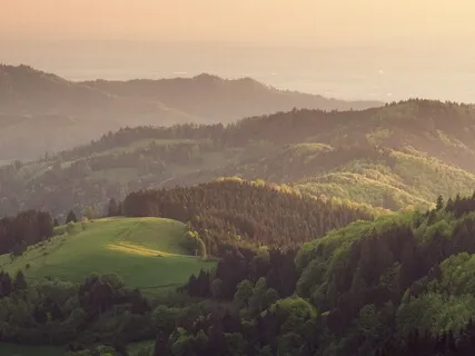 Breath Focus Meditation