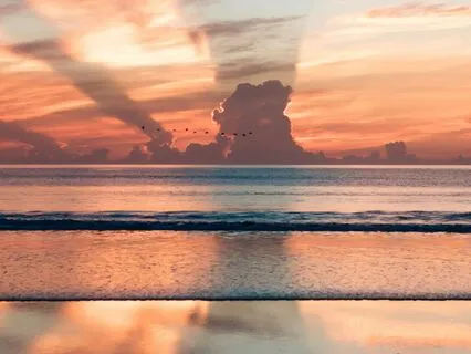 Breath-Focused Awareness: Training The Mind To Return