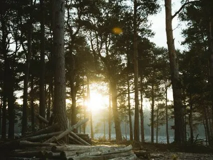 Breath For Transformation