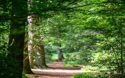 Breath Fundamentals:  Prep for Alternate Nostril Breathing