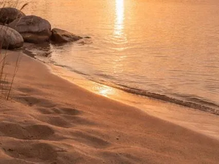 Breath-Led Vinyasa: Energize & Reset