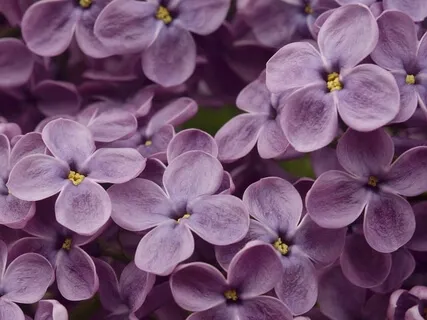 10 Minute Breath Practice