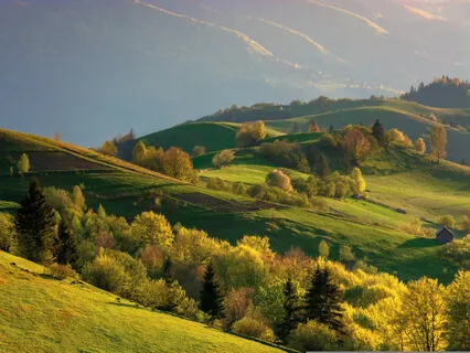 Breath Meditation For Focus