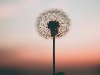 Breath Meditation To Relax & Re-Energise