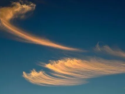 Breath Meditation For Focus 2025