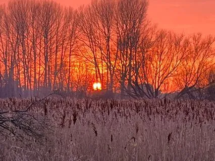 Breath Meditation For Menstrual Cycle Awareness