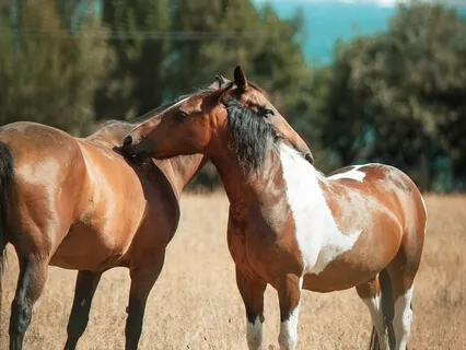 Breath Meditation For When You Aren't Feeling Great