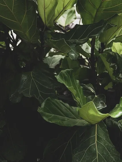 Breath Practice - Nourish Your Soul