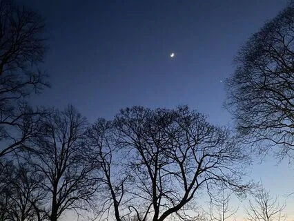 Breath Meditation Of The Wood Snake