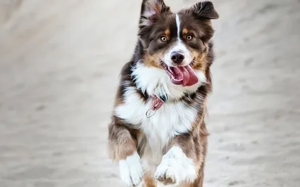 Breath Meditation - Playful Energy Boost (Just For Fun)