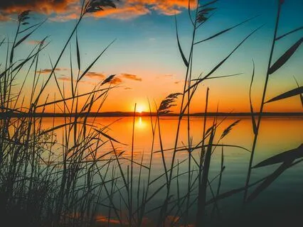 Breath Meditation To Increase Awareness And Wellbeing