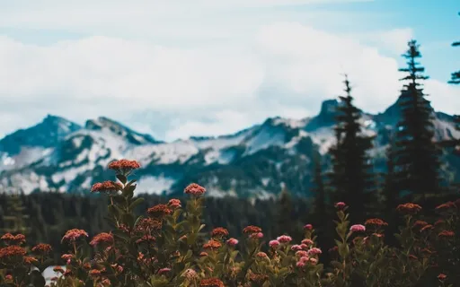 Breath Meditation To Move Through Anxiety