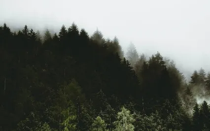 Breath Meditation To Relax