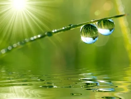 Breath Meditation with Counting