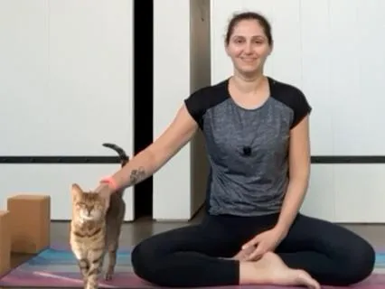 Breath Meets Movement : Sun Salutations With Ujjayi Breath
