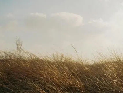 Breath Of Dawn (Nature's Breeze) 528 Hz