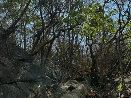 Breath Of Fire: 3 Quick Rounds... Feel The Sensations