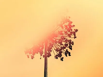 Breath Of Fire (Intermediate Practice)