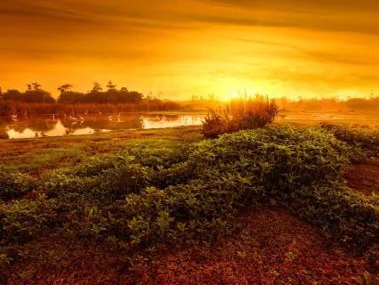 Breath Of Fire: Kapalabhati To Energize And Clear The Mind