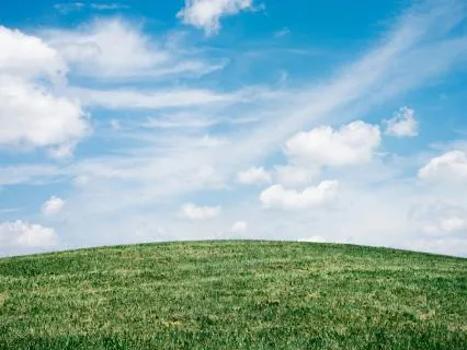 Breath Of Fresh Air, A Walking Meditation