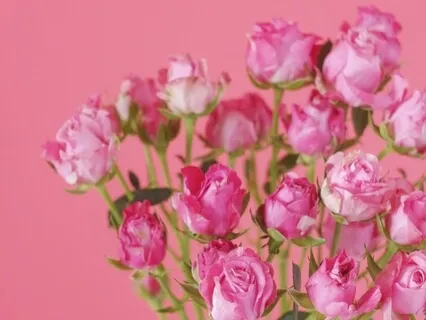 Breath Of Gratitude Meditation