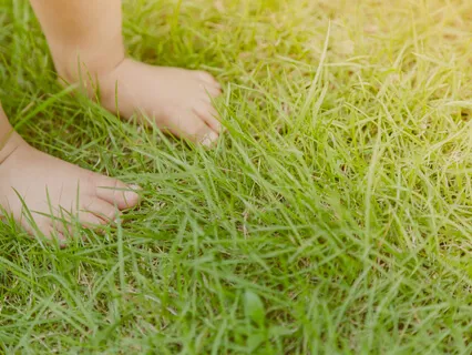 Breath Of Life Meditation