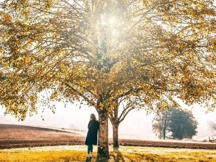 Breath Of Life Technique