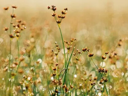 Breath Of Power: Transforming Anger Into Strength