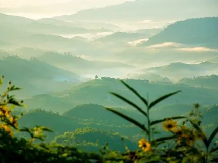 Breath Of Serenity:Zen Meditation For Inner Peace (Beginner)