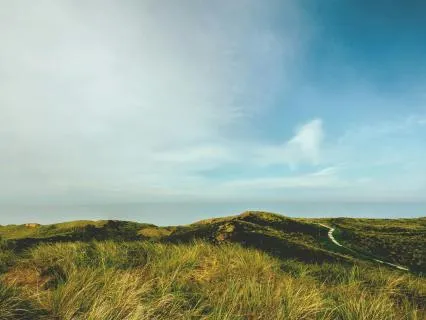 Breath of Stillness: A Liminal Sound Journey