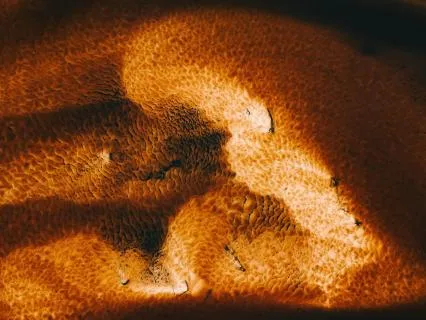 Breath of the Earth — Native Flute for Rest & Deep Calm