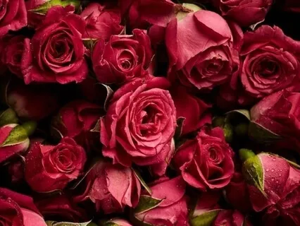 Breath Of The Holy Chalice